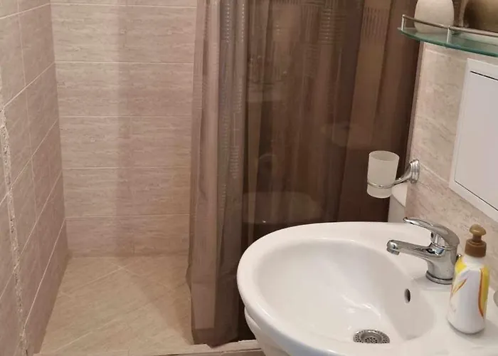 Romans Marin Apartament *